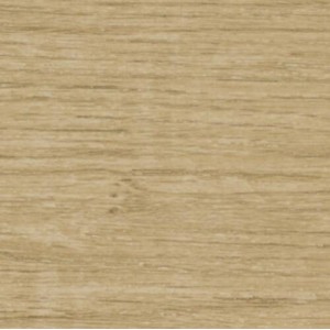 PD 3012  LN Stejar American